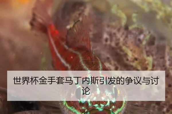 世界杯金手套马丁内斯引发的争议与讨论